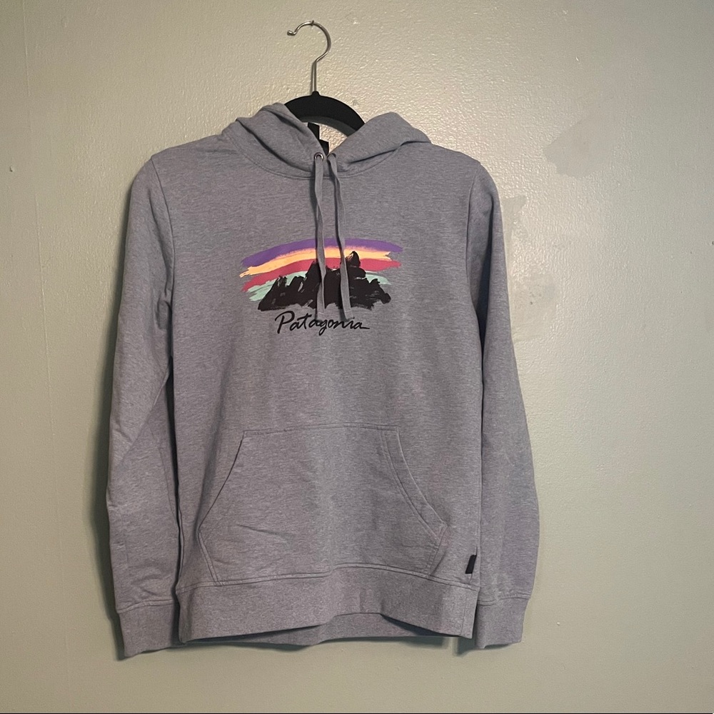 Patagonia hoodie, size M